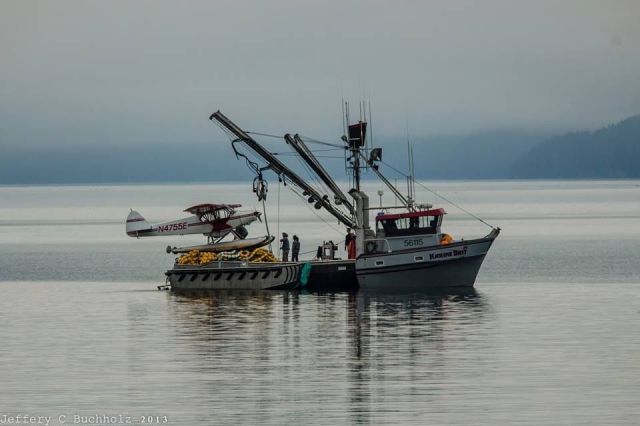 morning picdump 44 pics 19.html - 44 HD Photos | Premium Gallery 2013