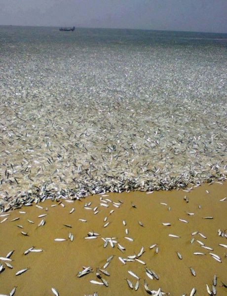 morning picdump 57 pics 14.html - 57 HD Photos | Premium Gallery 2013