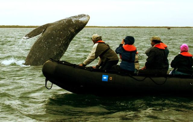 morning picdump 57 pics 14.html - 57 HD Photos | Premium Gallery 2013