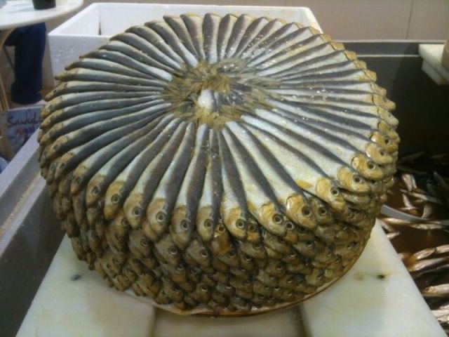 morning picdump 58 pics 21.html - 58 HD Photos | Premium Gallery 2013