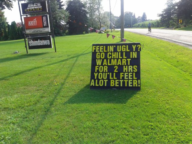 Morning Picdump