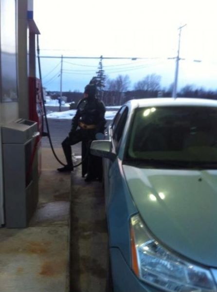 Morning Picdump