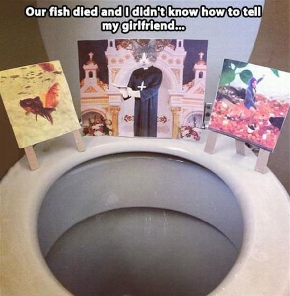 morning picdump 50 pics 1.html - 50 HD Photos | Premium Gallery 2013