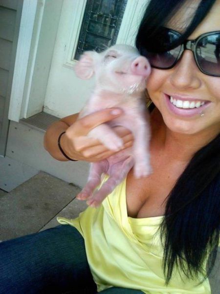 morning picdump 50 pics 1.html - 50 HD Photos | Premium Gallery 2013