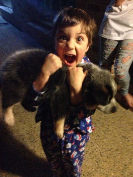 morning picdump 53 pics 12.html - 53 HD Photos | Premium Gallery 2013