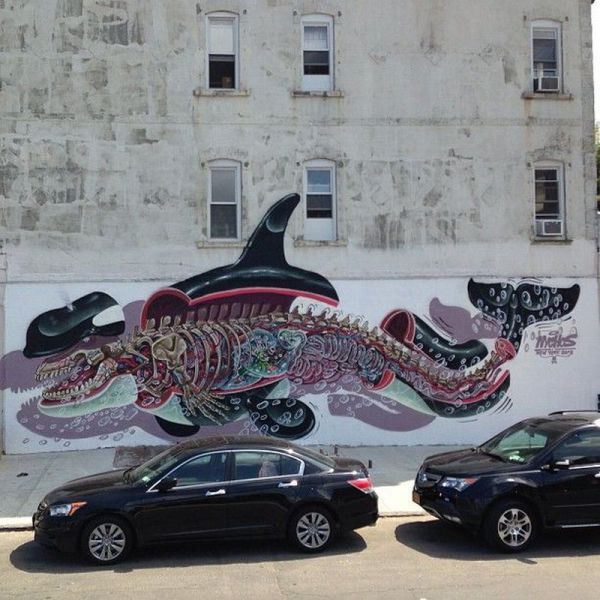 morning picdump 53 pics 12.html - 53 HD Photos | Premium Gallery 2013