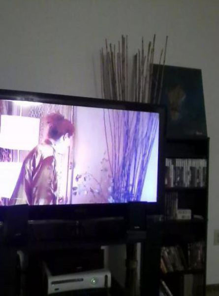 Life Is Full of Radical Random Coincidences