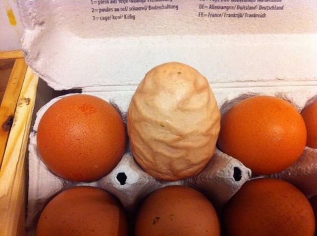 morning picdump 50 pics 7.html - 50 HD Photos | Premium Gallery 2013