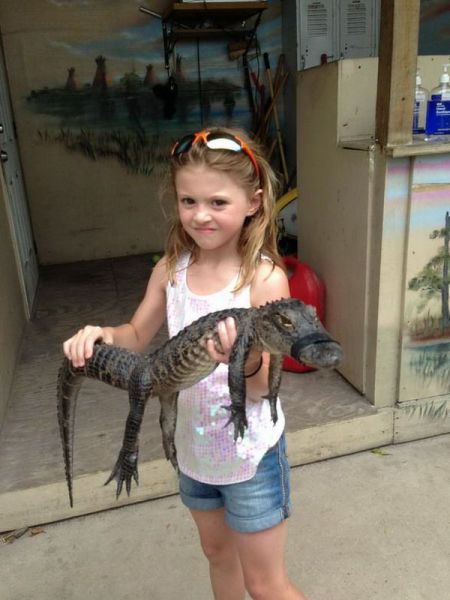 morning picdump 50 pics 7.html - 50 HD Photos | Premium Gallery 2013