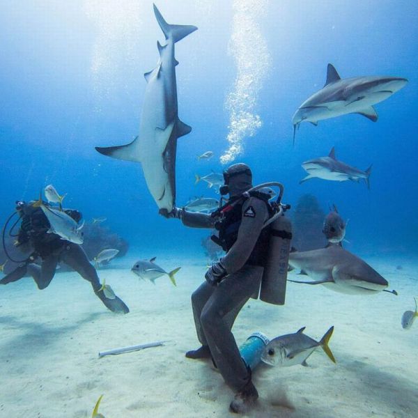 morning picdump 50 pics 7.html - 50 HD Photos | Premium Gallery 2013