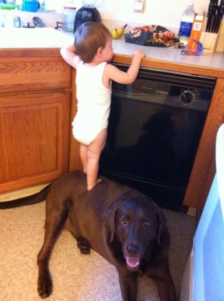 morning picdump 50 pics 7.html - 50 HD Photos | Premium Gallery 2013