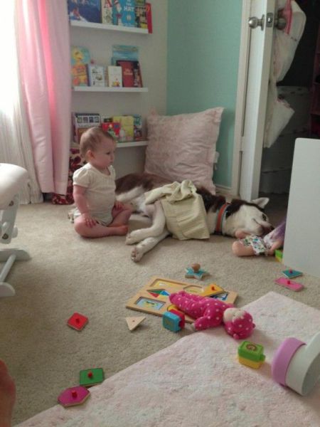 morning picdump 54 pics 24.html - 54 HD Photos | Premium Gallery 2013