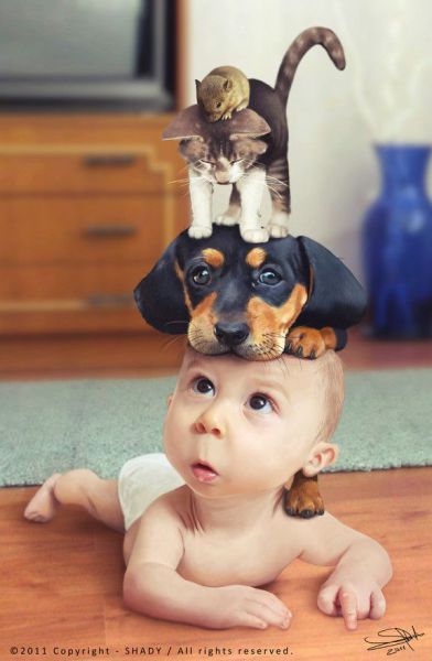 morning picdump 54 pics 24.html - 54 HD Photos | Premium Gallery 2013