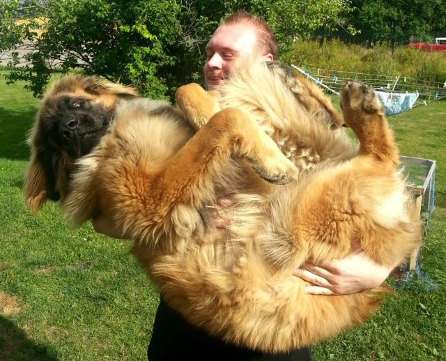 morning picdump 54 pics 24.html - 54 HD Photos | Premium Gallery 2013