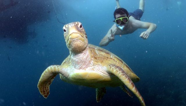 morning picdump 54 pics 24.html - 54 HD Photos | Premium Gallery 2013