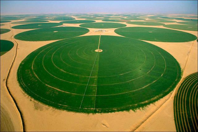 morning picdump 55 pics 20.html - 55 HD Photos | Premium Gallery 2013