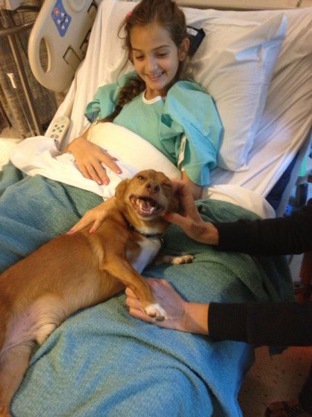 morning picdump 55 pics 20.html - 55 HD Photos | Premium Gallery 2013