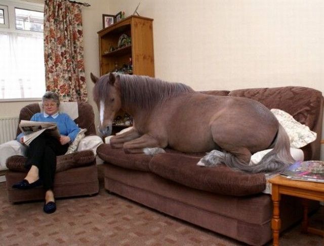 morning picdump 55 pics 20.html - 55 HD Photos | Premium Gallery 2013