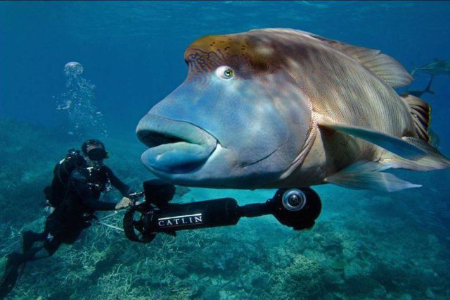 morning picdump 55 pics 20.html - 55 HD Photos | Premium Gallery 2013