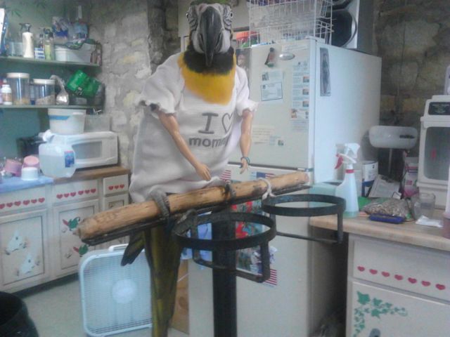 morning picdump 55 pics 20.html - 55 HD Photos | Premium Gallery 2013