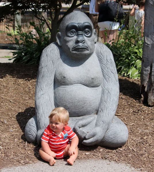 morning picdump 52 pics 25.html - 52 HD Photos | Premium Gallery 2013