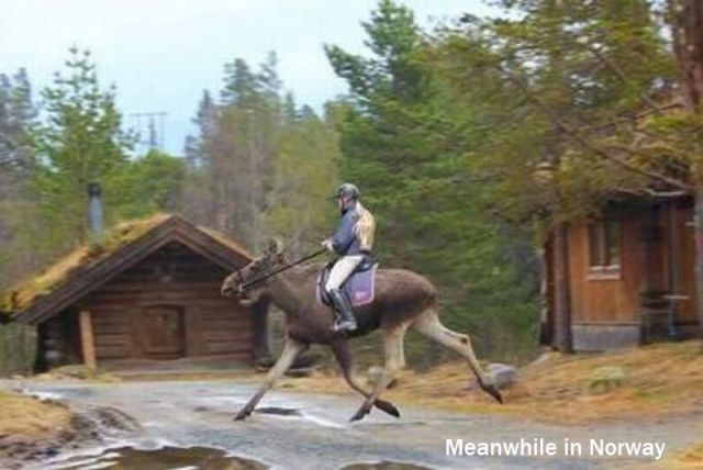 morning picdump 52 pics 25.html - 52 HD Photos | Premium Gallery 2013