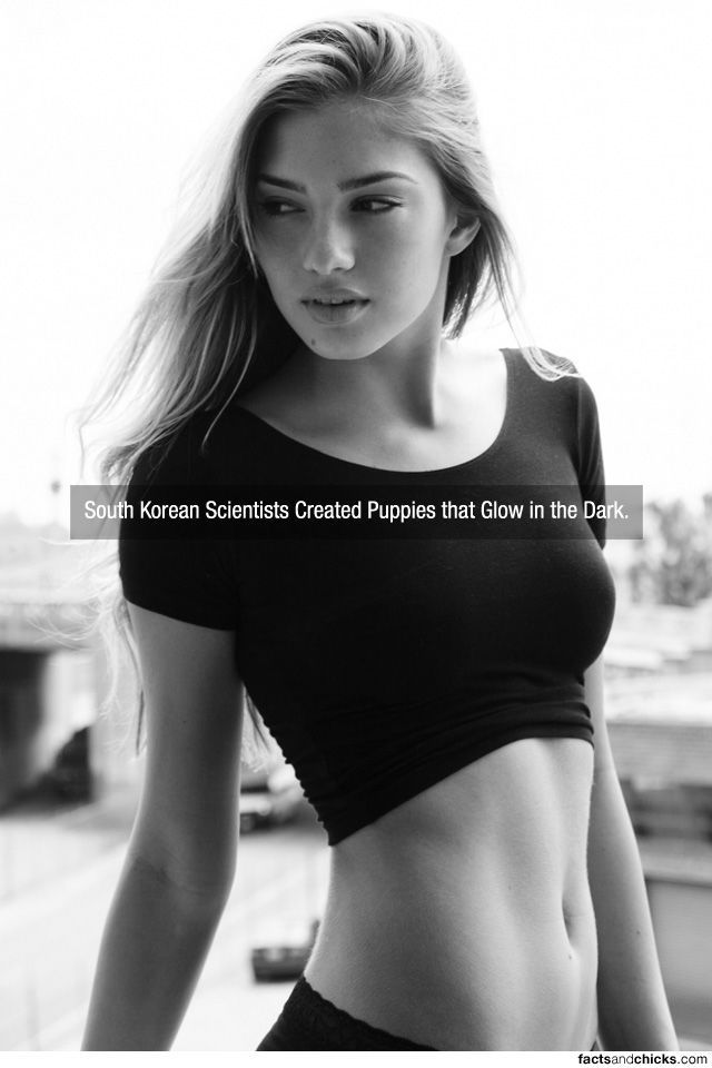 Facts are Best Served with Hot Girls