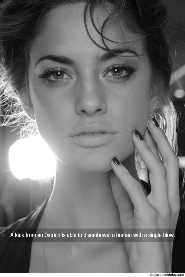 Facts are Best Served with Hot Girls