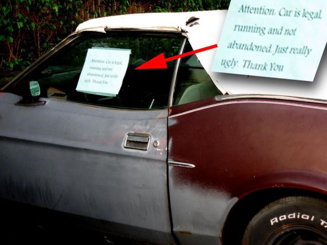 morning picdump 54 pics 2.html - 54 HD Photos | Premium Gallery 2013