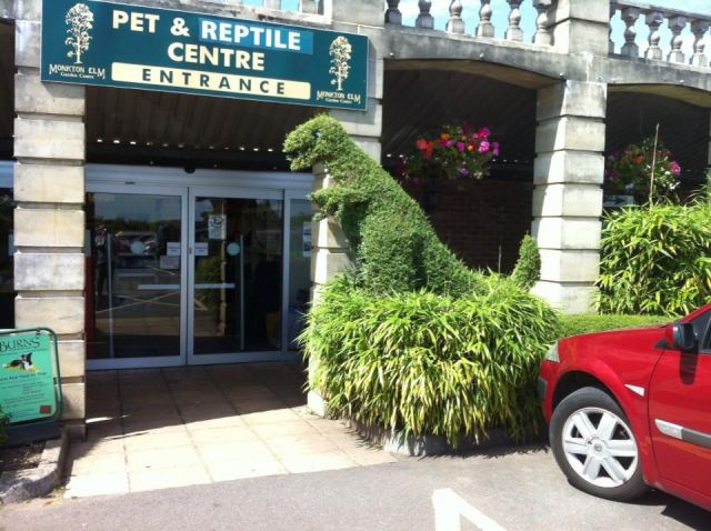 morning picdump 54 pics 2.html - 54 HD Photos | Premium Gallery 2013