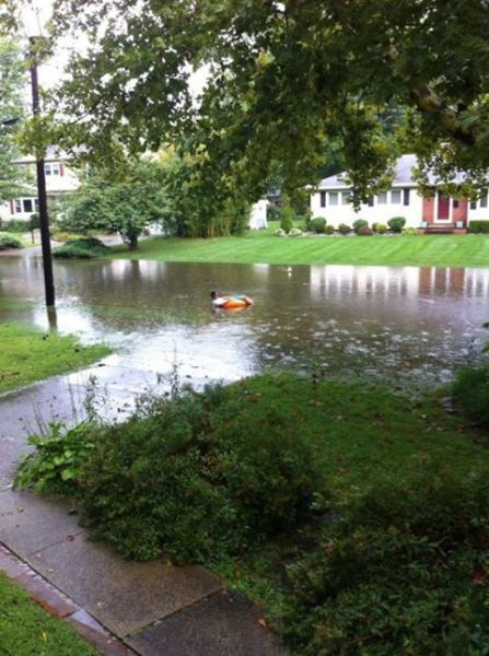 morning picdump 54 pics 2.html - 54 HD Photos | Premium Gallery 2013