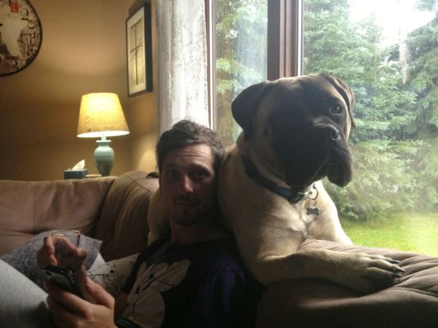 morning picdump 54 pics 2.html - 54 HD Photos | Premium Gallery 2013