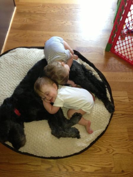 morning picdump 55 pics 7.html - 55 HD Photos | Premium Gallery 2013