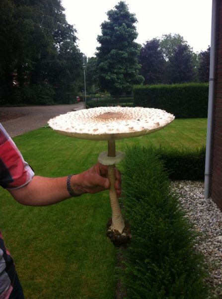 morning picdump 55 pics 7.html - 55 HD Photos | Premium Gallery 2013