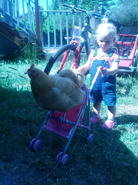 morning picdump 55 pics 7.html - 55 HD Photos | Premium Gallery 2013