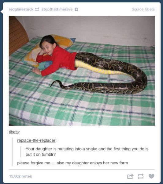 morning picdump 53 pics 3.html - 53 HD Photos | Premium Gallery 2013