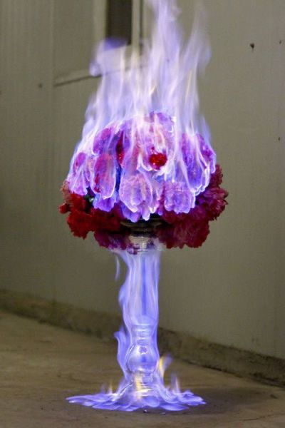 morning picdump 55 pics 14.html - 55 HD Photos | Premium Gallery 2013