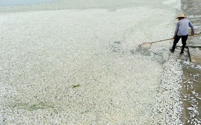 morning picdump 53 pics 5.html - 53 HD Photos | Premium Gallery 2013