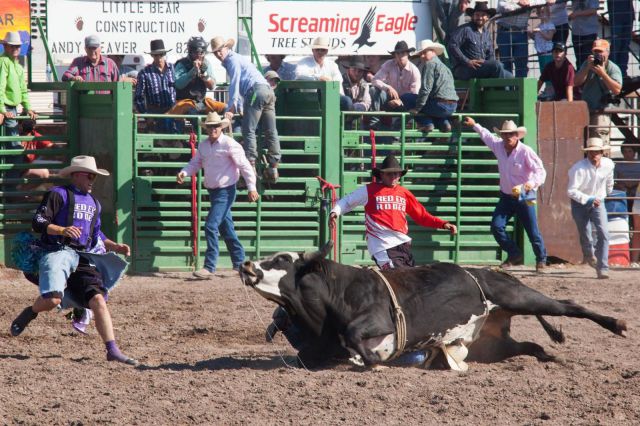 morning picdump 53 pics 11.html - 53 HD Photos | Premium Gallery 2013