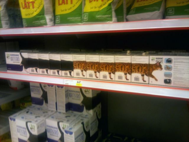 morning picdump 55 pics 3.html - 55 HD Photos | Premium Gallery 2013