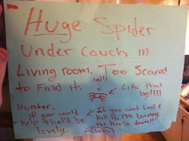 morning picdump 55 pics 3.html - 55 HD Photos | Premium Gallery 2013