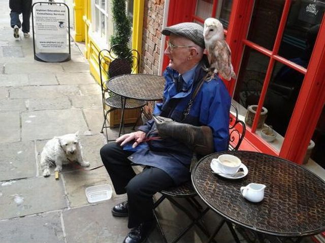 morning picdump 55 pics 3.html - 55 HD Photos | Premium Gallery 2013