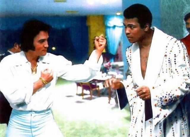 morning picdump 55 pics 3.html - 55 HD Photos | Premium Gallery 2013