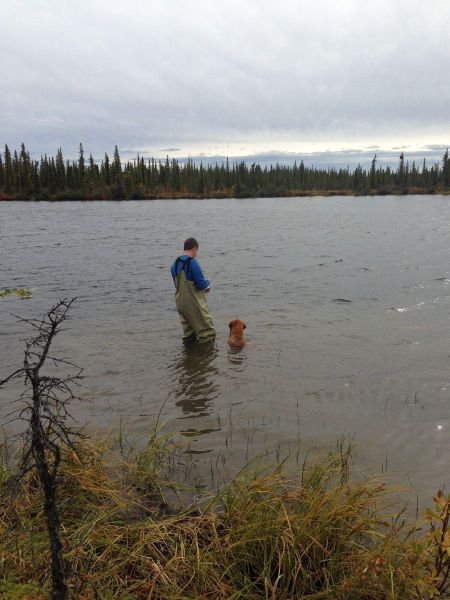 morning picdump 53 pics 25.html - 53 HD Photos | Premium Gallery 2013