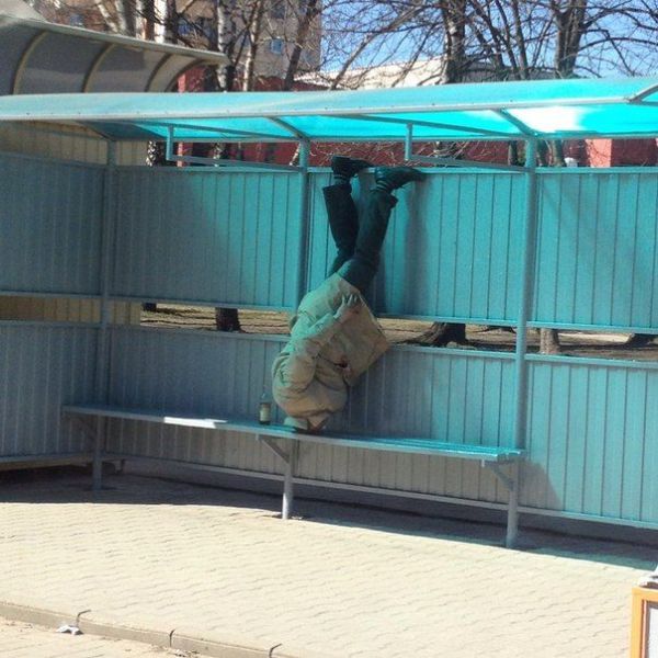 morning picdump 57 pics 3.html - 57 HD Photos | Premium Gallery 2013