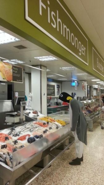 morning picdump 57 pics 3.html - 57 HD Photos | Premium Gallery 2013