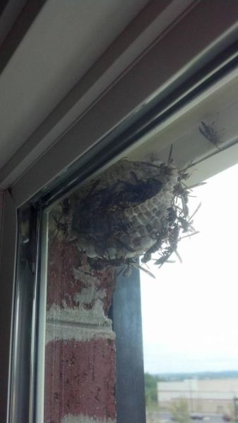 morning picdump 55 pics 13.html - 55 HD Photos | Premium Gallery 2013