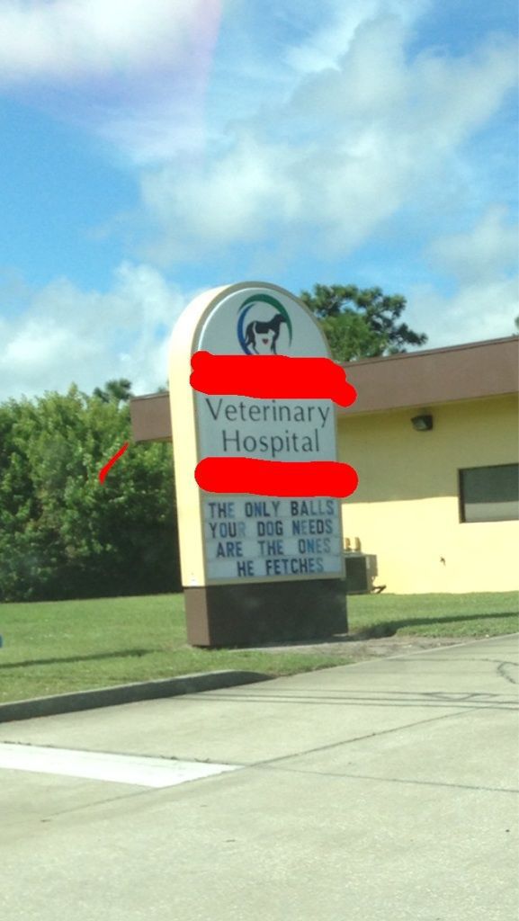 morning picdump 55 pics 13.html - 55 HD Photos | Premium Gallery 2013