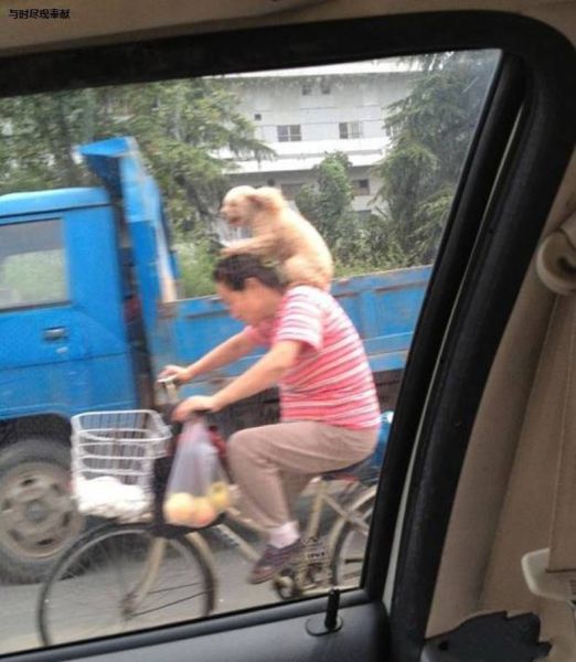 morning picdump 51 pics 21.html - 51 HD Photos | Premium Gallery 2013