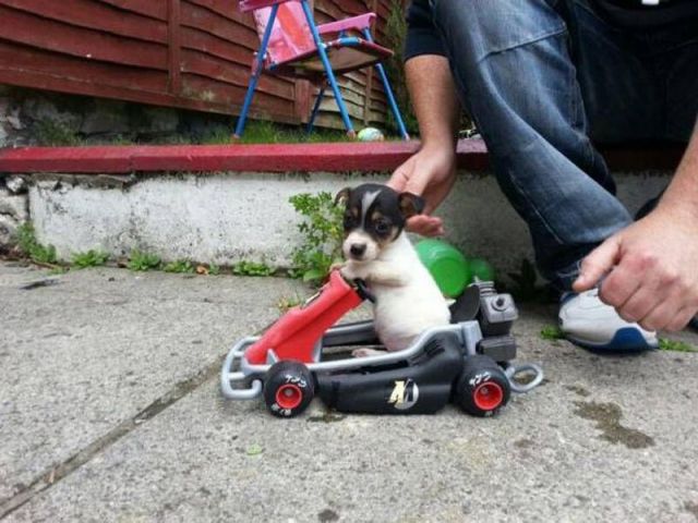 morning picdump 51 pics 21.html - 51 HD Photos | Premium Gallery 2013